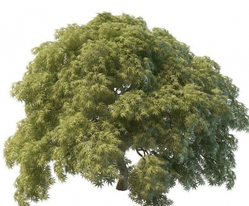 Modern Tree-ID:459459078
