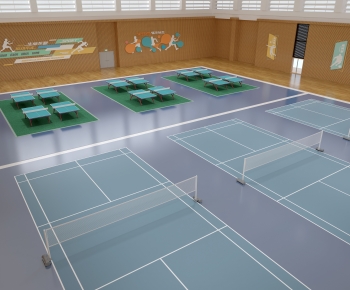 Modern Indoor Badminton Court-ID:232275017