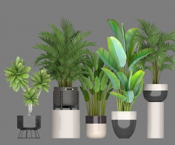 Modern Ground Green Plant Potted Plants-ID:451525931