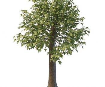 Modern Tree-ID:393142949