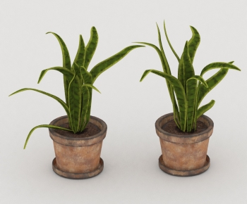 Modern Potted Green Plant-ID:298815014