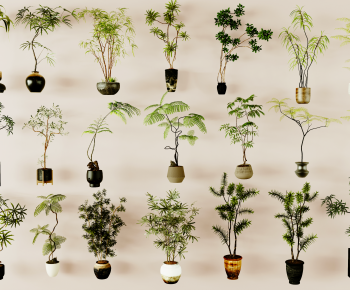 现代落地绿植盆栽组合-ID:924906978