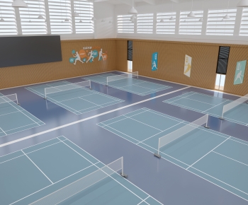 Modern Indoor Badminton Court-ID:908188106