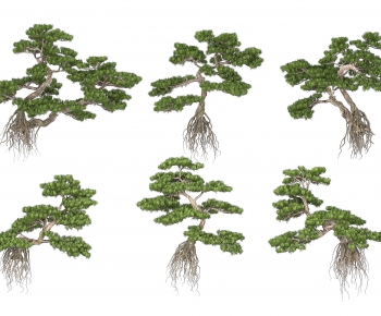 Modern Tree-ID:604118111