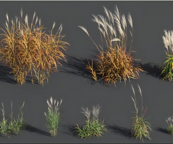 Modern The Grass-ID:509061104