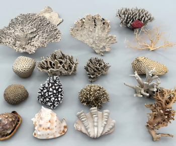 Modern Aquatic Animals-ID:243491892