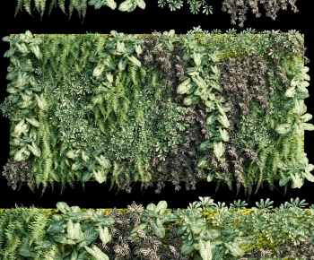 现代蕨类植物墙-ID:326358087