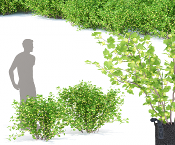 Modern Shrubbery-ID:395540008