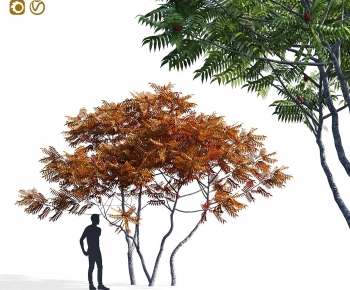Modern Tree-ID:526004086