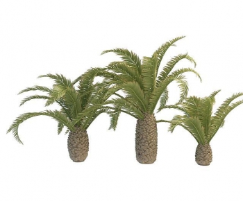 Modern Tree-ID:978660651