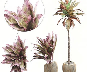 Modern Ground Green Plant Potted Plants-ID:413316979