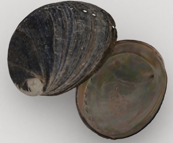 Modern Aquatic Product-ID:863020498