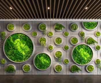 现代植物墙植物造景-ID:564317947