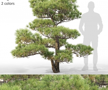 Modern Tree-ID:270410064