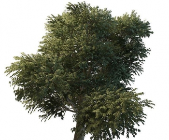 Modern Tree-ID:102646118