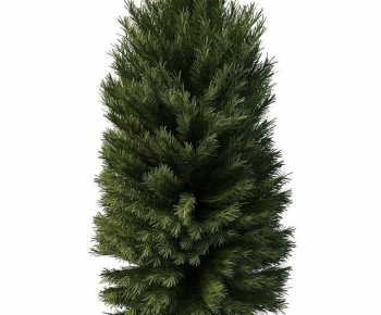 Modern Tree-ID:427835949