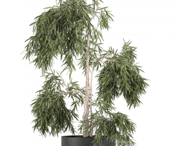 Modern Ground Green Plant Potted Plants-ID:984349368