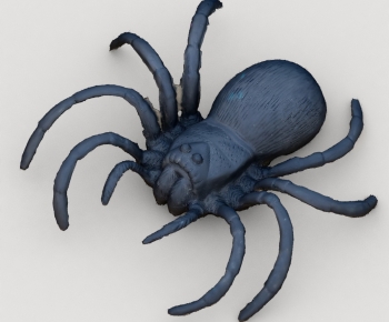 Modern Other Animals-ID:731487046