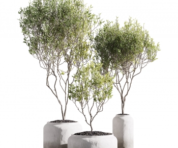 现代落地绿植盆栽组合-ID:556288006