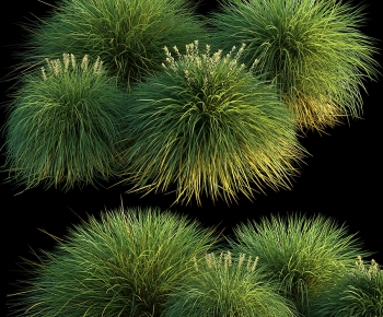 Modern The Grass-ID:189757119