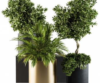 现代落地绿植盆栽组合-ID:251300343