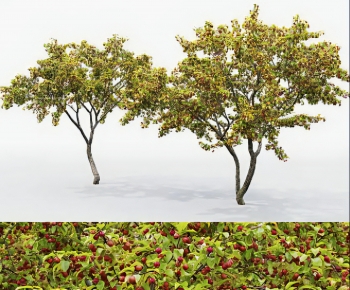 Modern Tree-ID:894138108