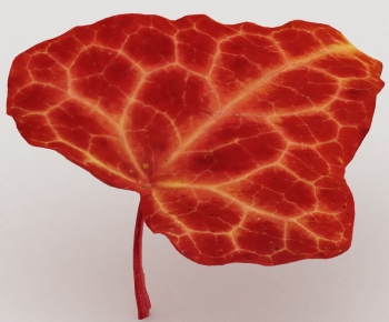 Modern Plant-ID:127724894