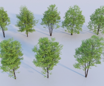 Modern Tree-ID:467163094