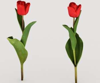 Modern Flowers And Grass-ID:379389056