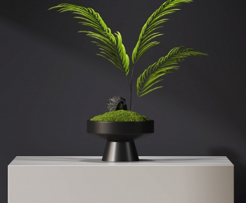 Modern Bonsai-ID:512928015