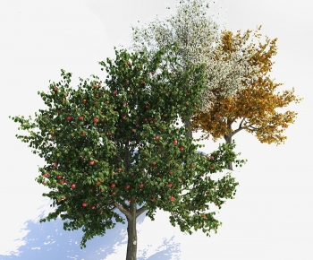Modern Tree-ID:386143924