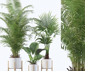 Modern Ground Green Plant Potted Plants-ID:849476106