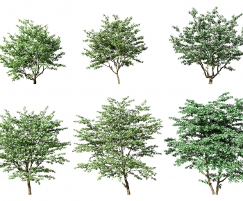 Modern Tree-ID:856287005