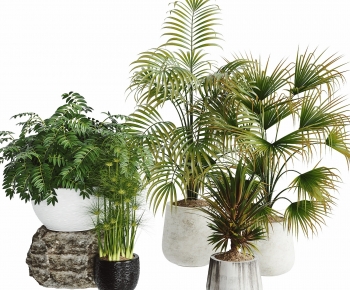 Modern Potted Green Plant-ID:600224977