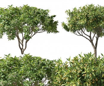 Modern Tree-ID:703059913