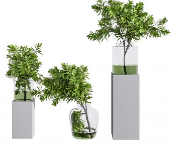 Modern Aquatic Green Plant-ID:555166018