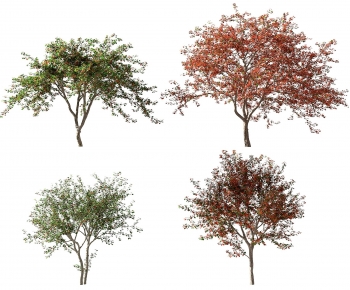 Modern Tree-ID:831056122