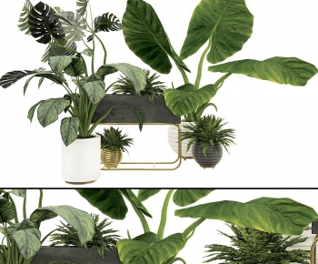 Modern Potted Green Plant-ID:581928978