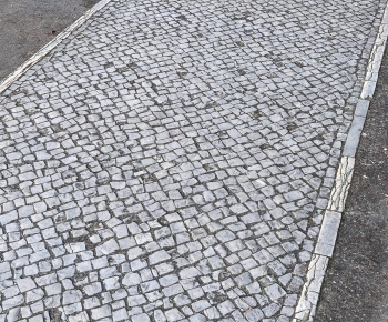 Modern Garden-ID:903669129