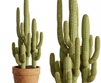 Modern Potted Green Plant-ID:992712026