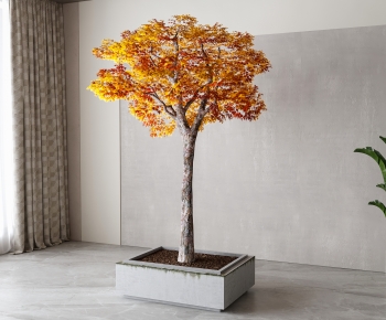 Modern Tree-ID:553277028