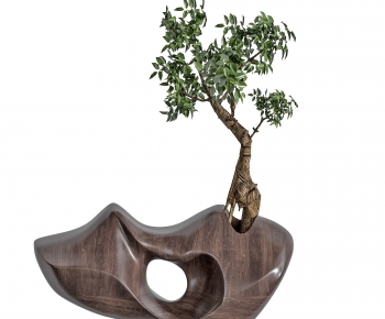 Modern Bonsai-ID:542869656