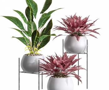 Modern Ground Green Plant Potted Plants-ID:294590006