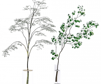 Modern Aquatic Green Plant-ID:543241984