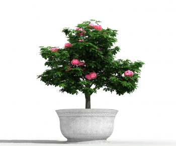 Modern Ground Green Plant Potted Plants-ID:791471006