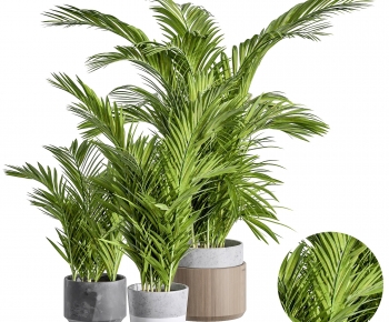 Modern Ground Green Plant Potted Plants-ID:870304115