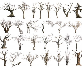 Modern Tree-ID:604468116