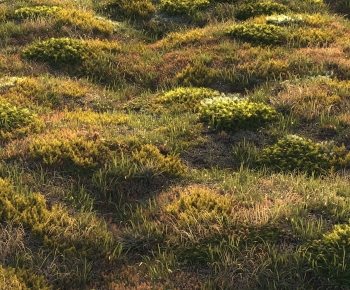 现代草地-ID:766990255