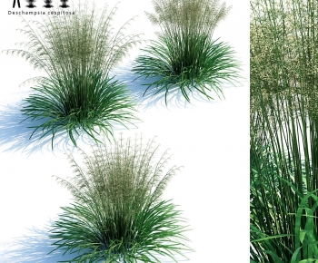 Modern The Grass-ID:290604117