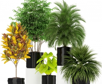 Modern Ground Green Plant Potted Plants-ID:753956088